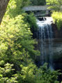 Minnehaha Falls 1